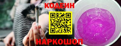 индика Долгопрудный