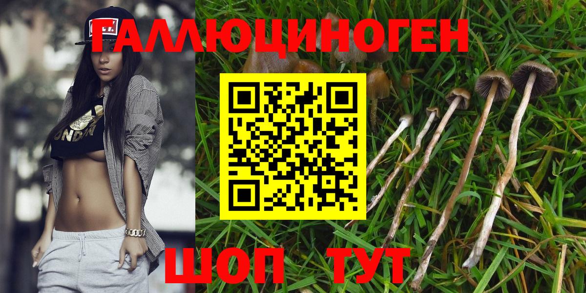 Псилоцибиновые грибы мухоморы  Вход с VPN  Галлюциногенные грибы мицелий  Березники 