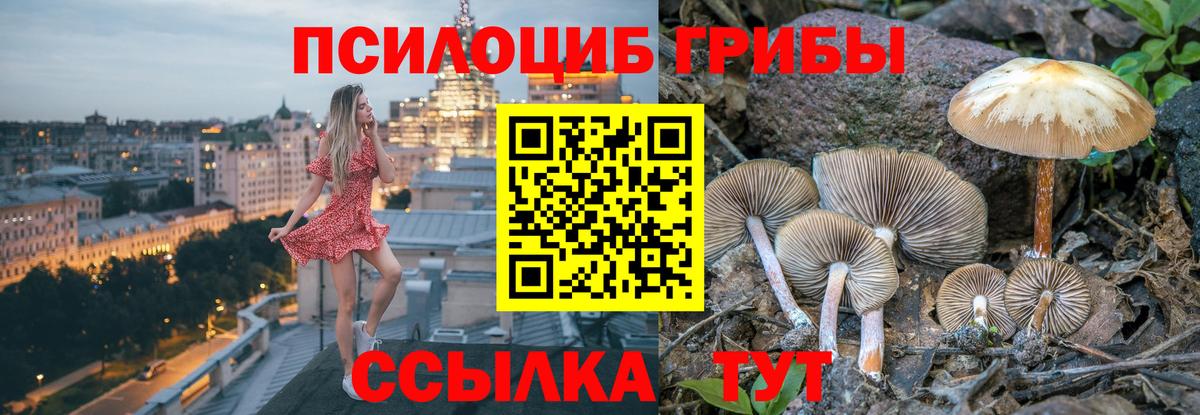 Галлюциногенные грибы Magic Shrooms Березники